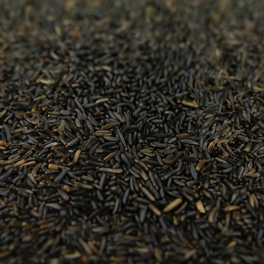 Gardeners Dream Niger Seeds