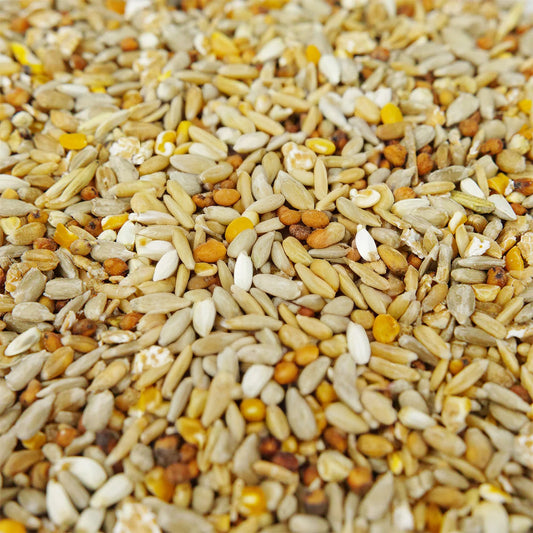 Gardeners Dream No Mess Seed Mix