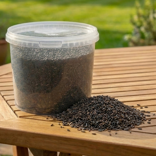 Gardeners Dream Niger Seeds (Tubs)