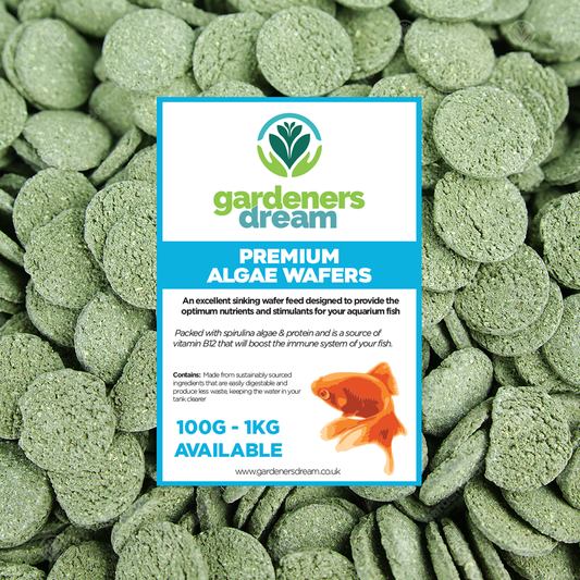 Gardeners Dream Algenwaffeln