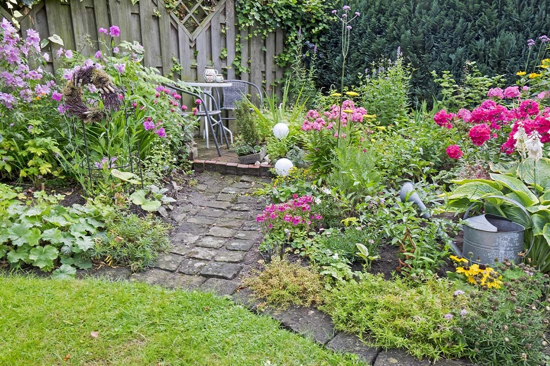 Complete Guide To Perennial Plants