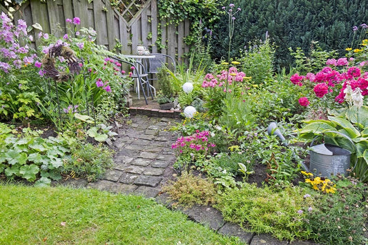 Complete Guide To Perennial Plants
