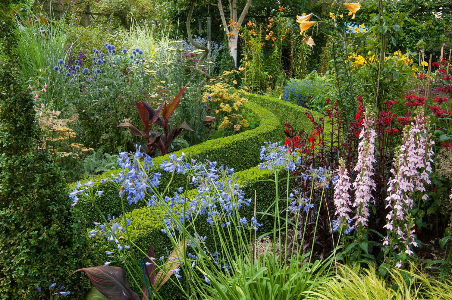 When To Plant Shrubs