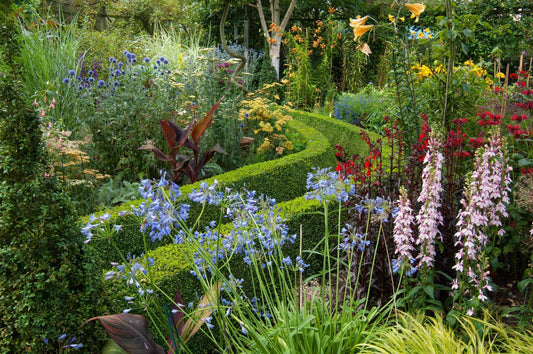 When To Plant Shrubs