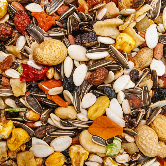 Gardeners Dream Papageienfutter mit Früchten