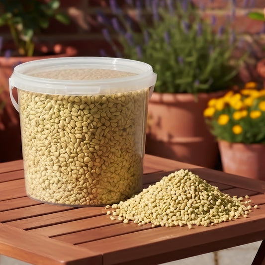 Gardeners Dream Erdnussbruch (Dose)