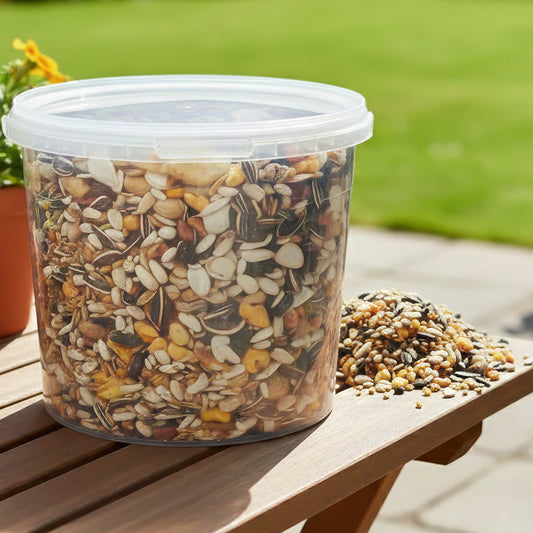 Gardeners Dream Papageienfrucht (Kübel)