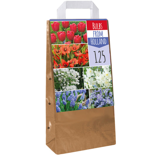 Mischung aus holländischen Blumenzwiebeln