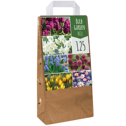 Blumenzwiebel-Mix für den Garten