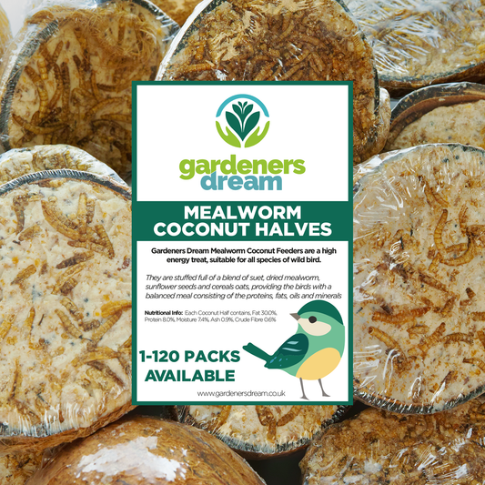 Gardeners Dream Kokosnusshälften mit Mehlwurm-Fettfutter