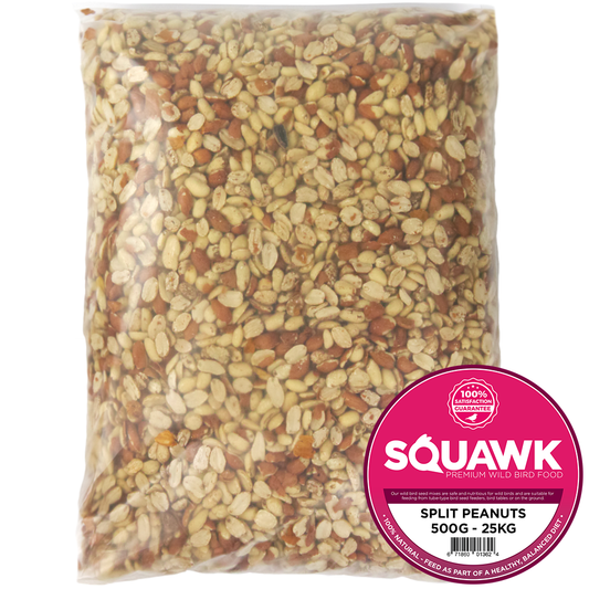 SQUAWK Geteilte Erdnüsse