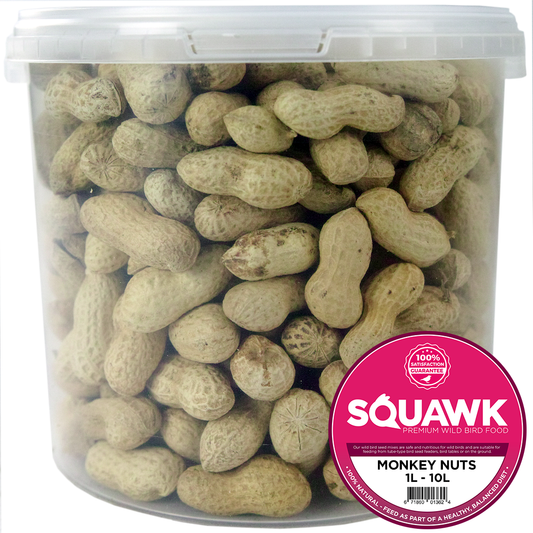 SQUAWK Monkey Nuts (Eimer)