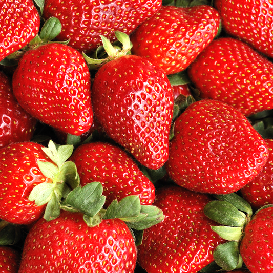 Erdbeere 'Sweetheart' Nacktwurzel-Pflanzen